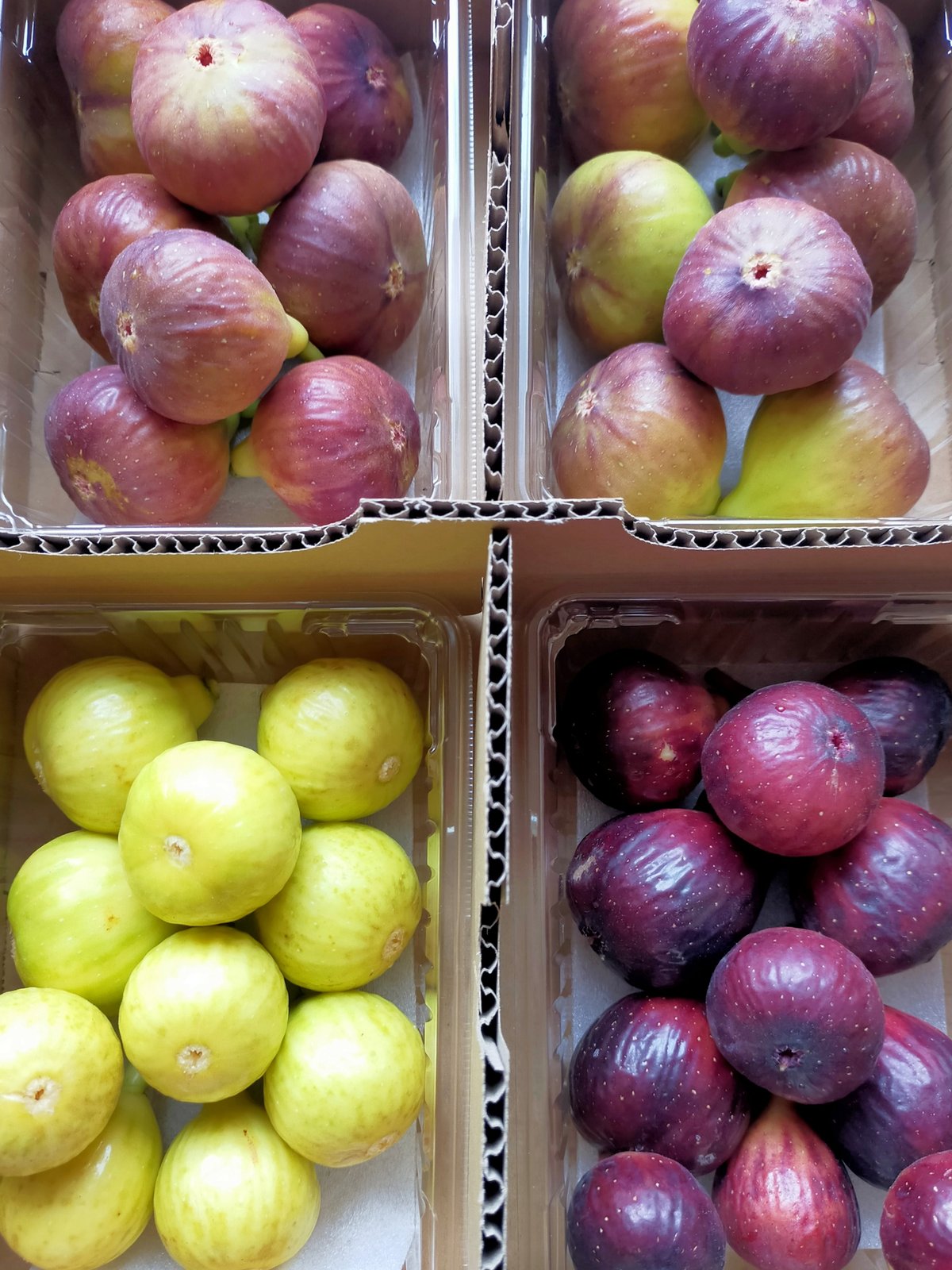 3種いちじく詰め合わせ | マルヒラフルーツファーム