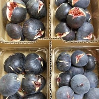 3種いちじく詰め合わせ | マルヒラフルーツファーム