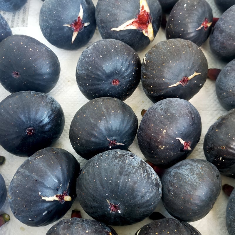 黒いちじく一箱&赤黒いちじく一箱詰め合わせ | マルヒラフルーツファーム