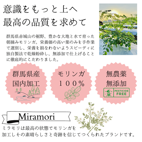 Miramori  国産モリンガ タブレットタイプ　30g(120粒）　賞味期限2025．1