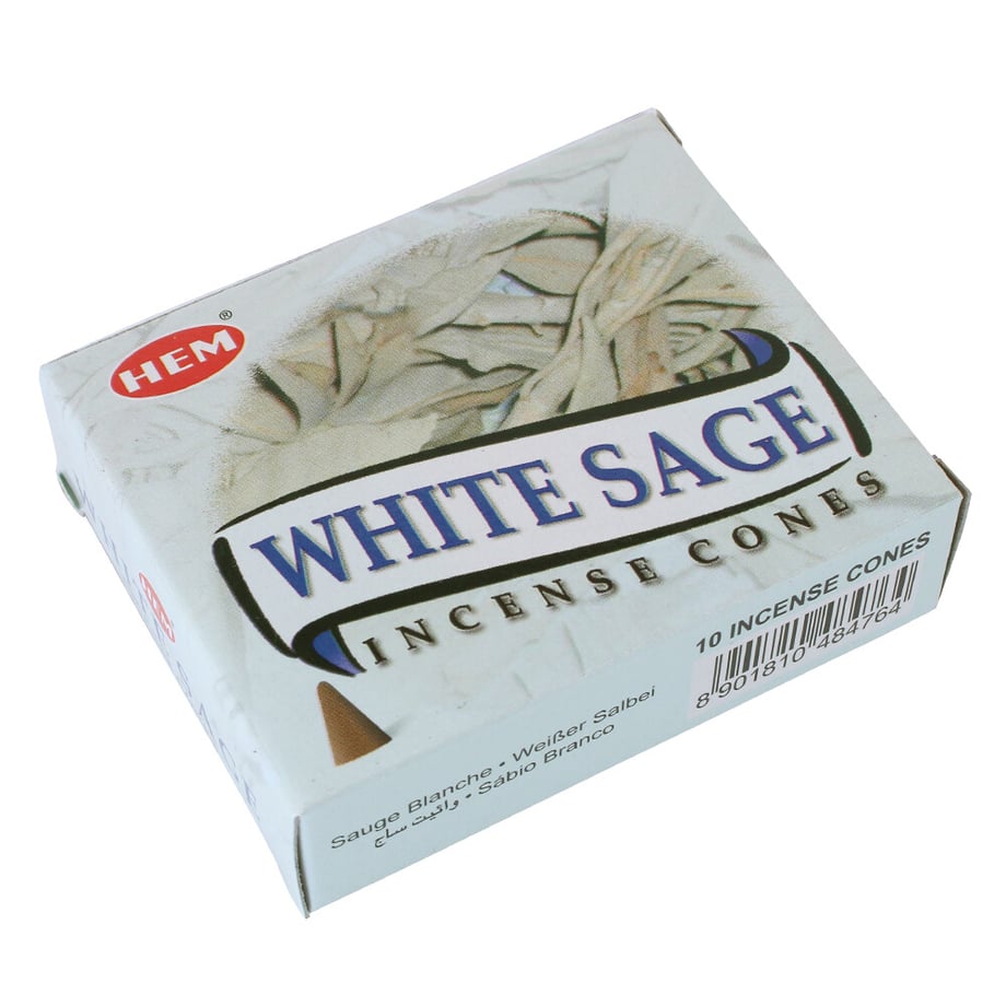 66c6f731a8296c0a7ec93082