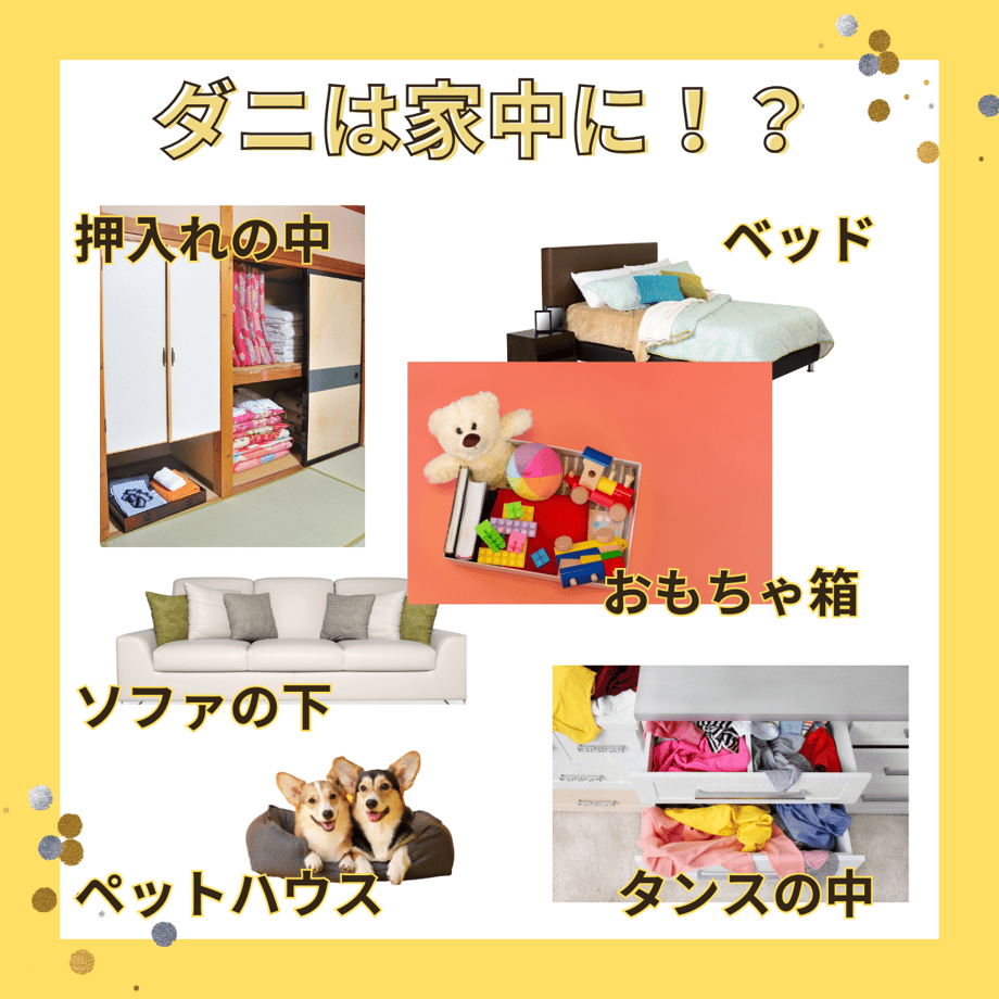 64ed7ae08e3e65003199f300
