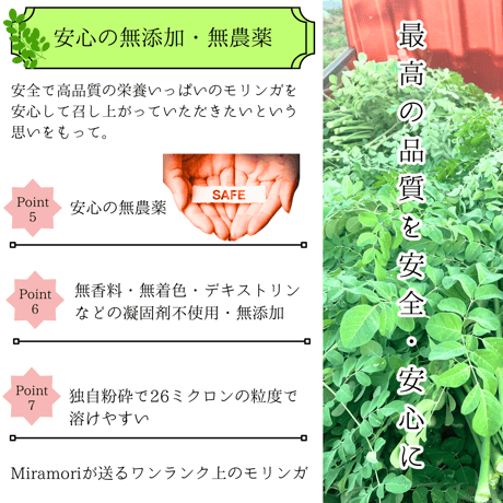 Miramori  国産モリンガ タブレットタイプ　30g(120粒）　賞味期限2025．1