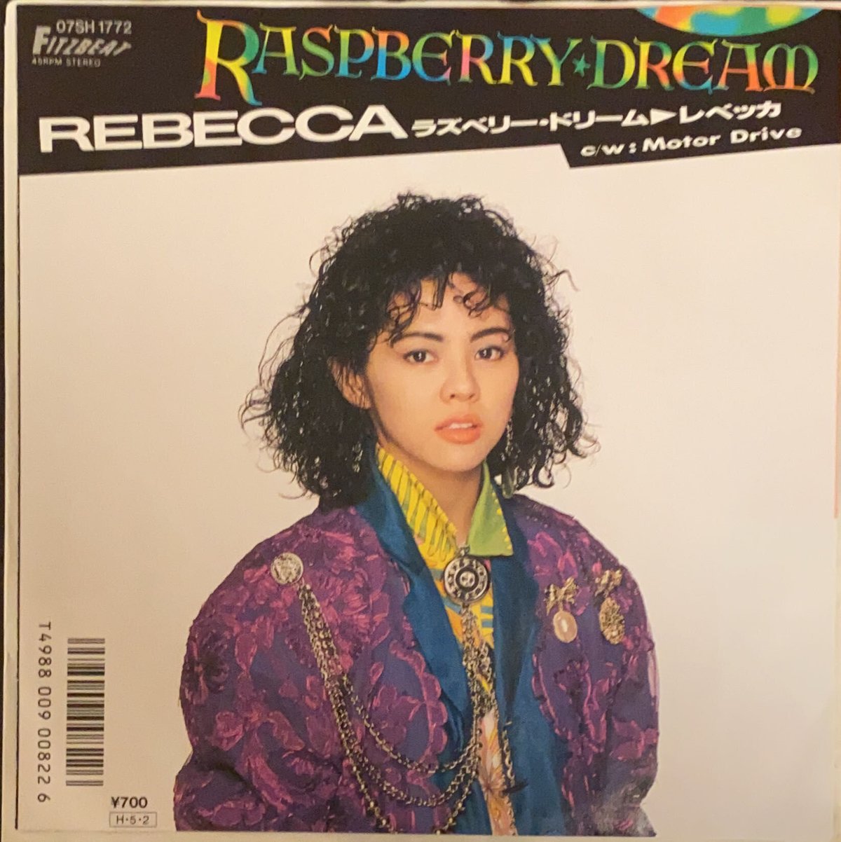 美品□レベッカ、Dreams on 19900119、レーザーディスク ラズベリー 