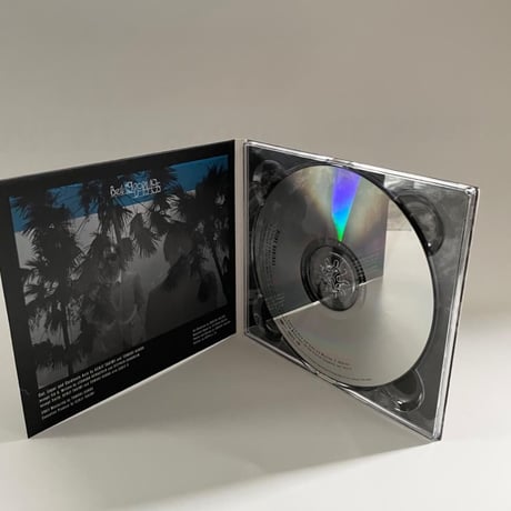 Being Borings - Esprit CD Album