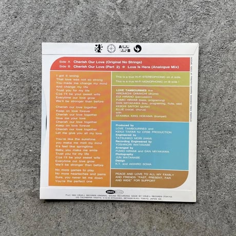 Love Tambourines - Cherish Our Love 7Inch Vinyl（Dead Stock)