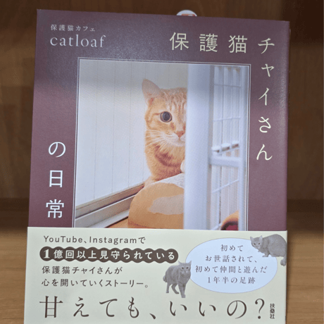 「保護猫チャイさんの日常」