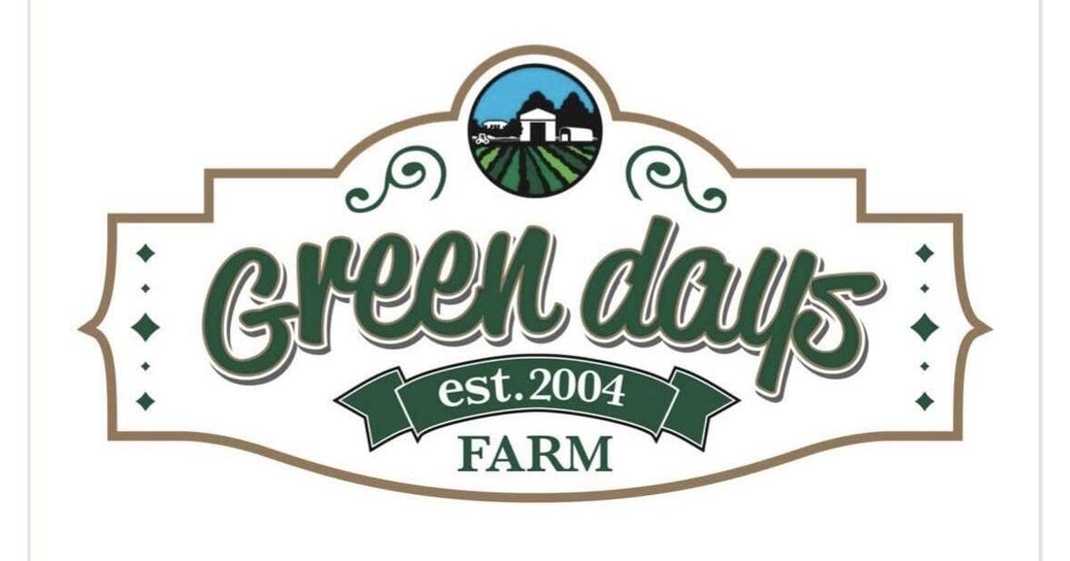 fit=pad,format=jpeg,w=1200,h=630