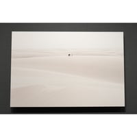 写真パネル 60cm x 40cm「レンソイス砂漠に生きる」《新中古・展示品》