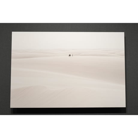 写真パネル 60cm x 40cm「レンソイス砂漠に生きる」《新中古・展示品》