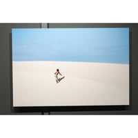 写真パネル 75cm x 50cm「レンソイス砂漠を駆ける」《新中古・展示品》