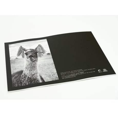 写真集「Ubiquitous -scenes on this planet」