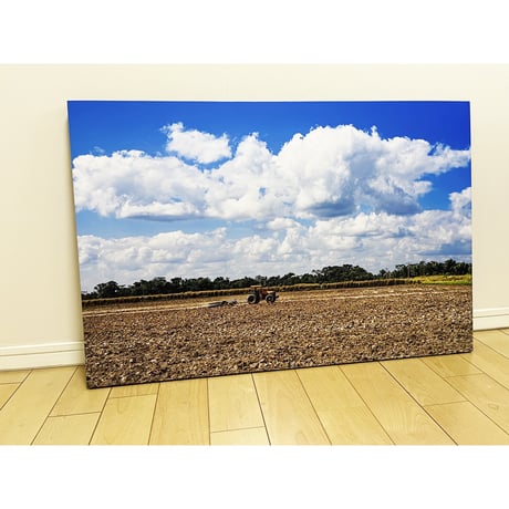 写真パネル 90cm x 60cm「サトウキビ畑を耕す」《新中古・展示品》