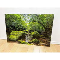 写真パネル「西表島の原生林」60cm x 90cm《新中古・展示品》