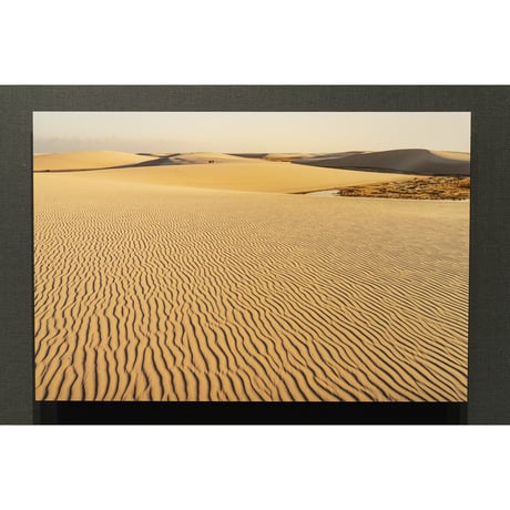 写真パネル 60cm x 40cm「夕日に照るレンソイス砂漠の風紋」《新中古・展示品》