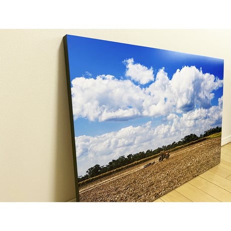 写真パネル 90cm x 60cm「サトウキビ畑を耕す」《新中古・展示品》