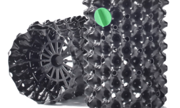 【お値引き❗️現地球/ 超希少❗️】アデニア フィリンガラベンシス アデニア フィリンガラベンシス【GOODDAYS/white鉢セット