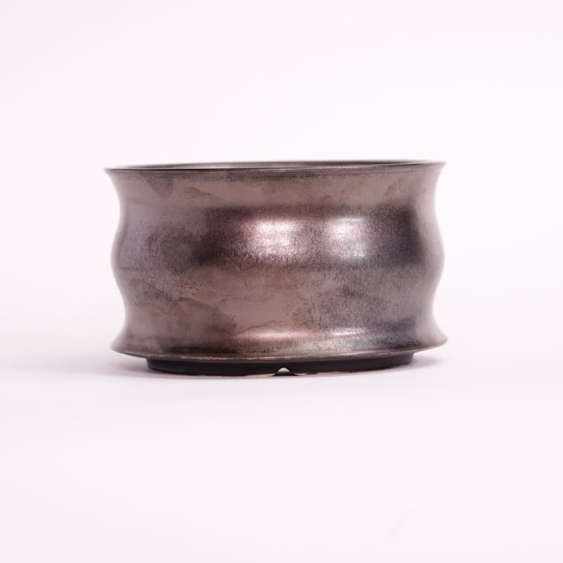 ユーフォルビア 陶器鉢 ユーフォルビア オベサ 鉢セット - 観葉植物・生花・ドライフラワー