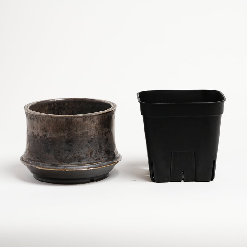 オリジナル陶器鉢 “つぼみ” 金彩 SSサイズ | Agave & Caudex Port