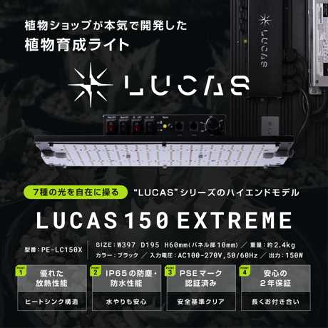 ❤天候に左右されない❣害虫被害が多い植物の育成にも超最適♪❤植物育成ライト Amazon.co.jp: YoKiStar 植物育成ライト LED 1セット4本 10段階