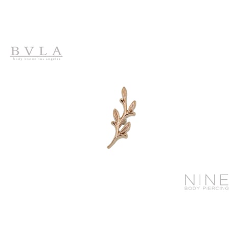 CATEGORY BVLA Ends (No Gem) | NINE BODY PIERCING