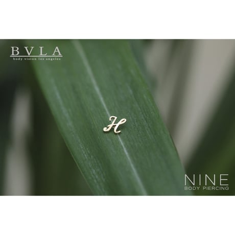 Script Letter H (YG)