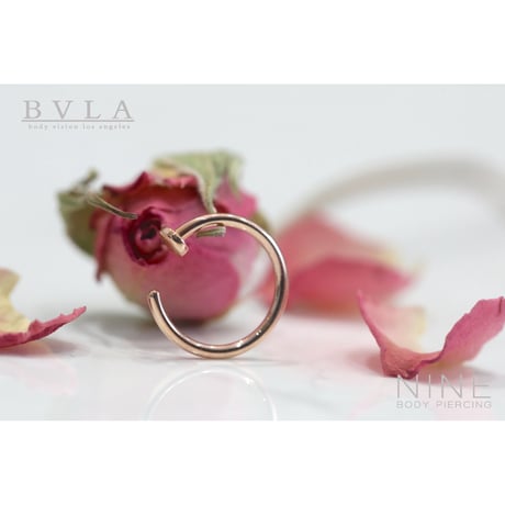 Nostril Nail 18Ga (RG / 2.5mm Disc)