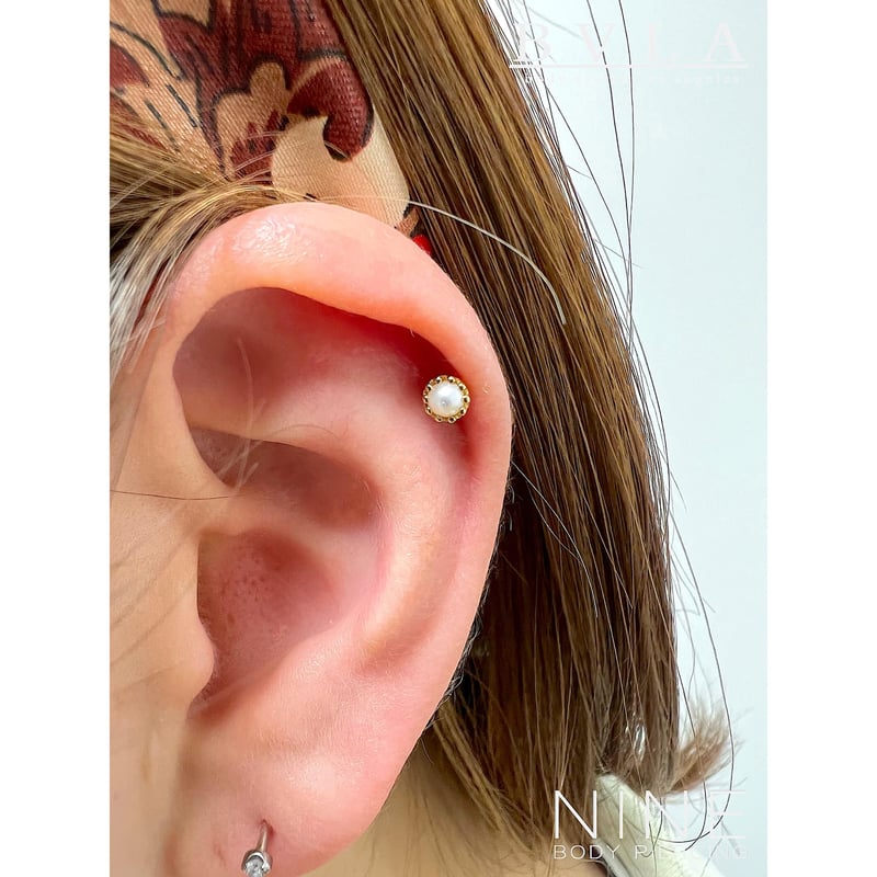 Crown (YG / Pearl) | NINE BODY PIERCING