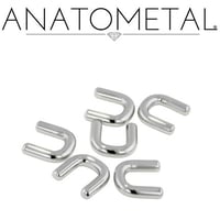 Septum Retainer (Titanium)