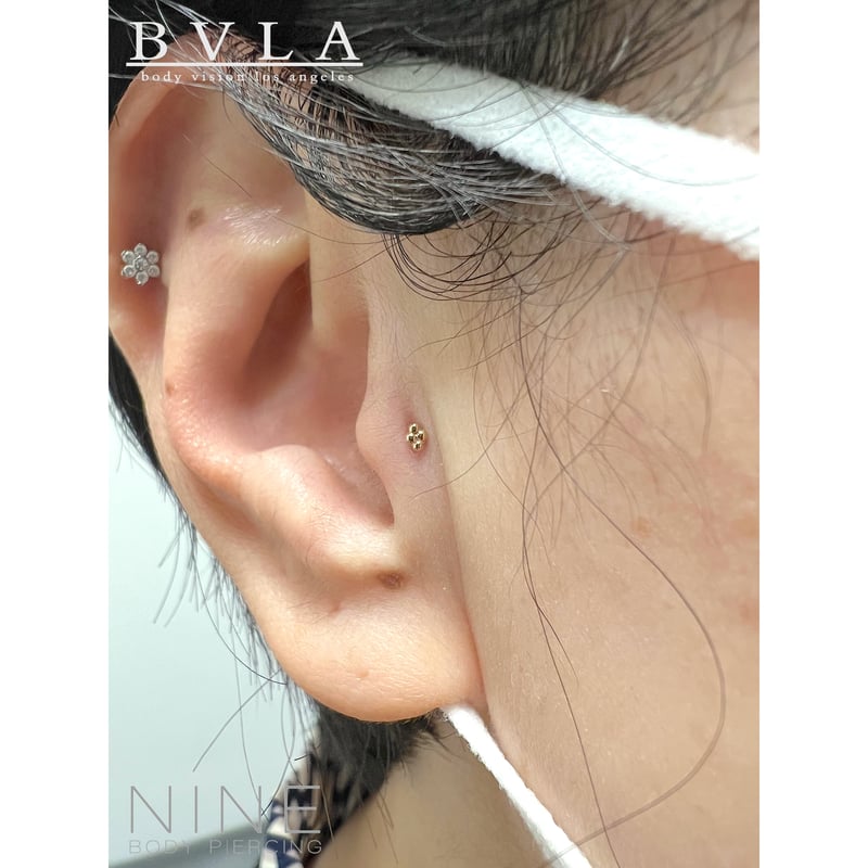 Quad Bead Cluster (YG) | NINE BODY PIERCING