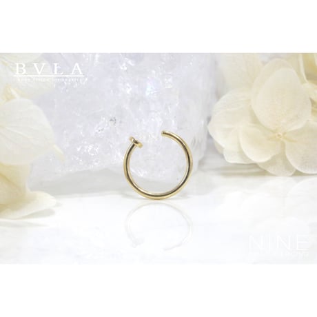 Nostril Nail 18Ga (YG / 2mm Disc)