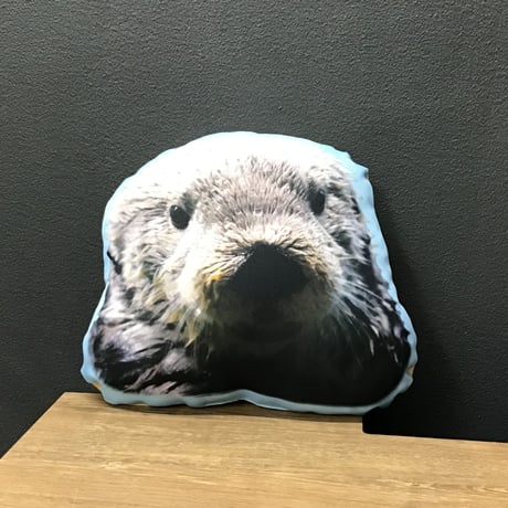 CATEGORY すいそう限定商品 | すいそう