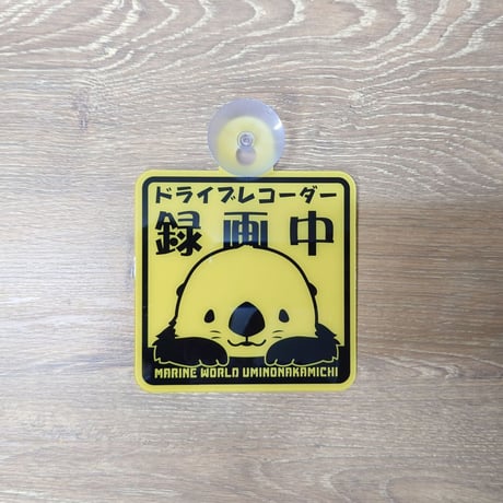 カーサイン（ドライブレコーダー録画中）