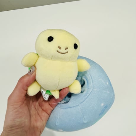 ちょころん（アオウミガメ）