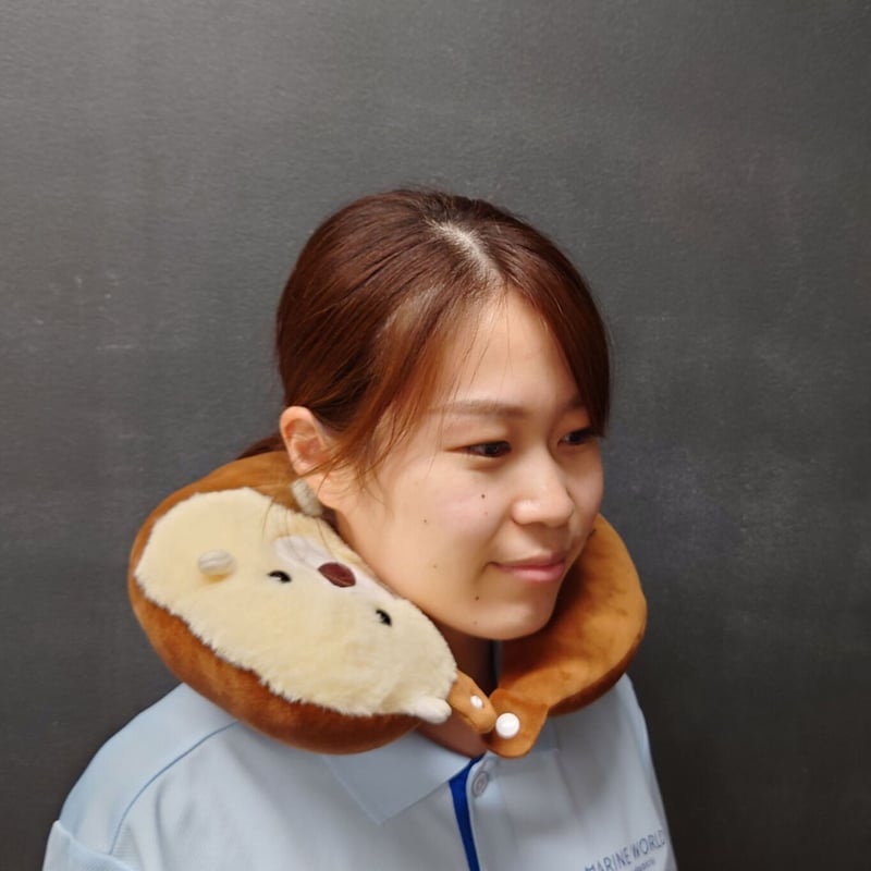 希少 美品 Eye Love You チェ・ジョンヒョプ ラッコ ネックピロー 希少 美品 Eye Love You チェ・ジョンヒョプ ラッコ ネック