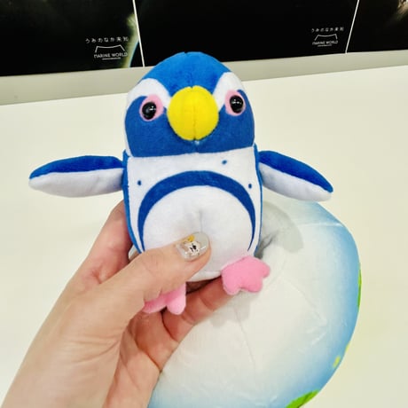 ちょころん（ケープペンギン）