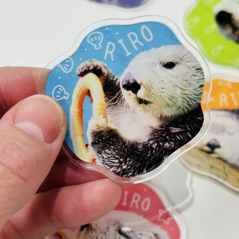 アクリルステッカー（リロ）- シークレット | すいそう