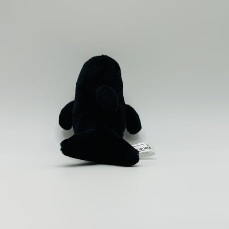 マグネット（コビレゴンドウ）