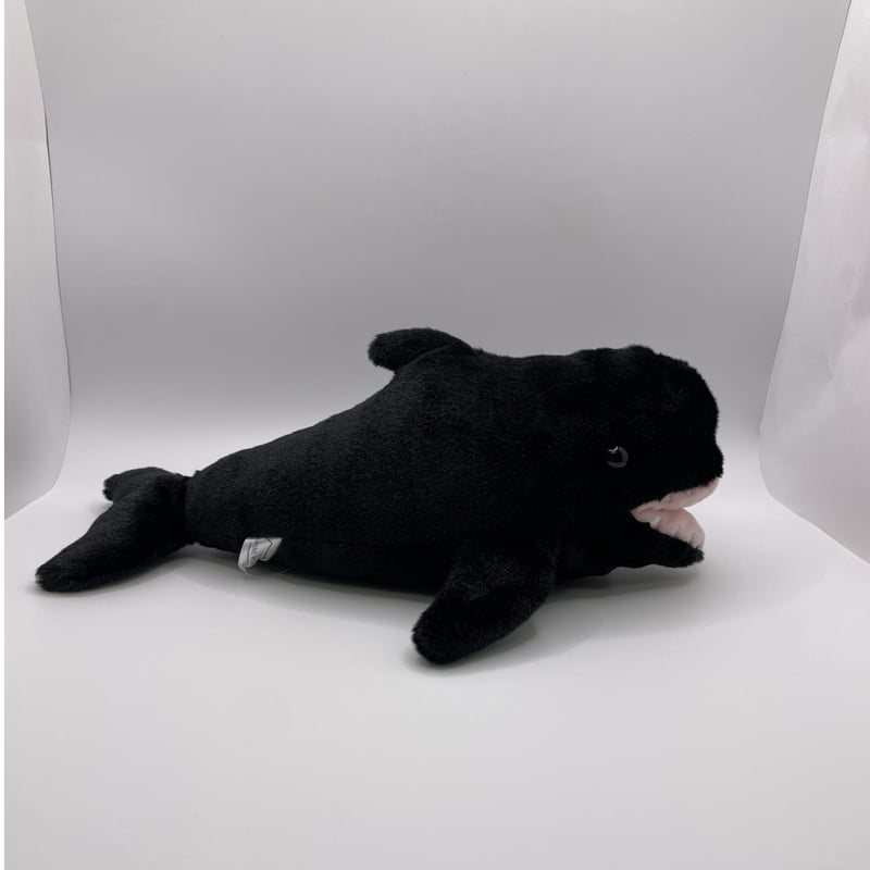 ぽちゃまる ユキちゃん | すいそう