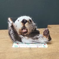 ダイカットステッカー（リロ 「ピカー」） | すいそう