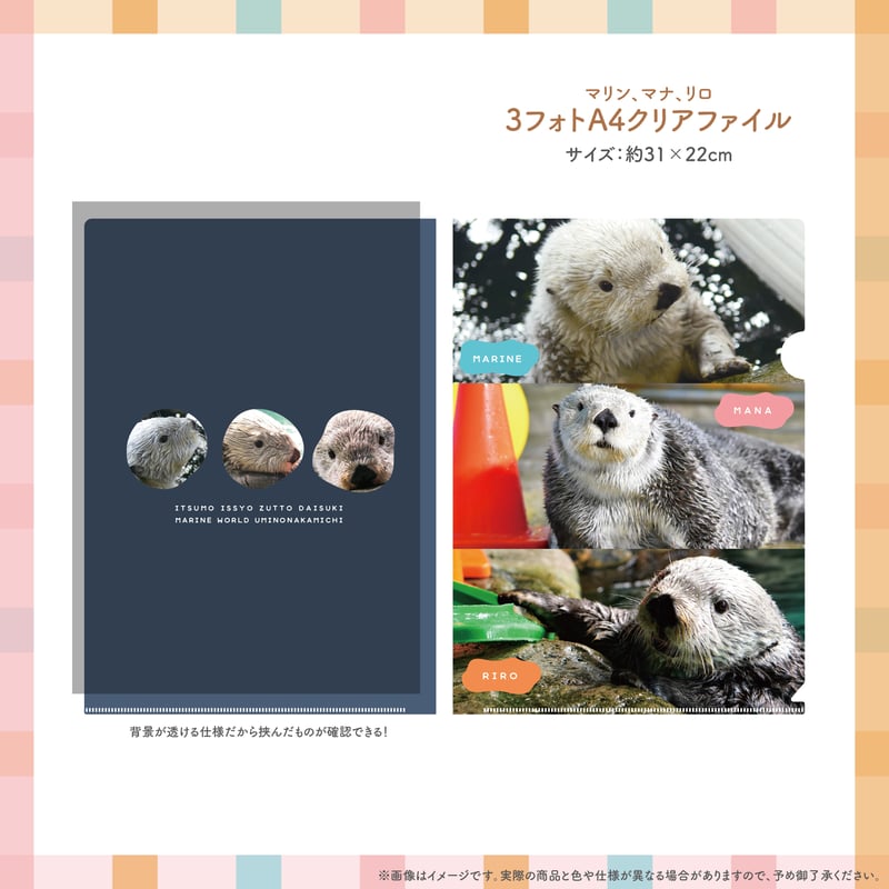 忘れない記憶」セット | すいそう