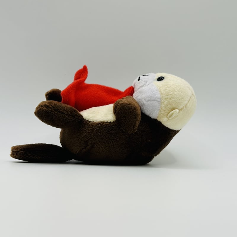 マグネット（ラッコ） | すいそう