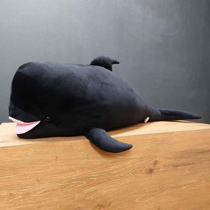 マリンワールド　ユキちゃんぬいぐるみ　特大サイズ　限定品 Amazon.co.jp: マリンワールド クジラ超大型ぬいぐるみ ユキ