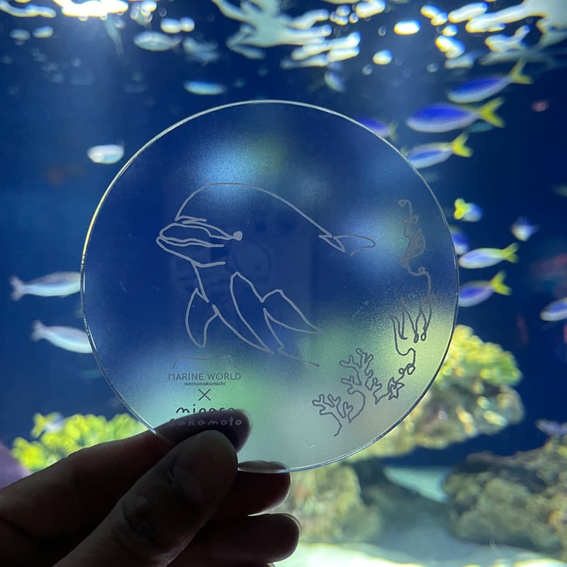 マリンワールド×minaco sakamoto】アクリルコースター（イルカ