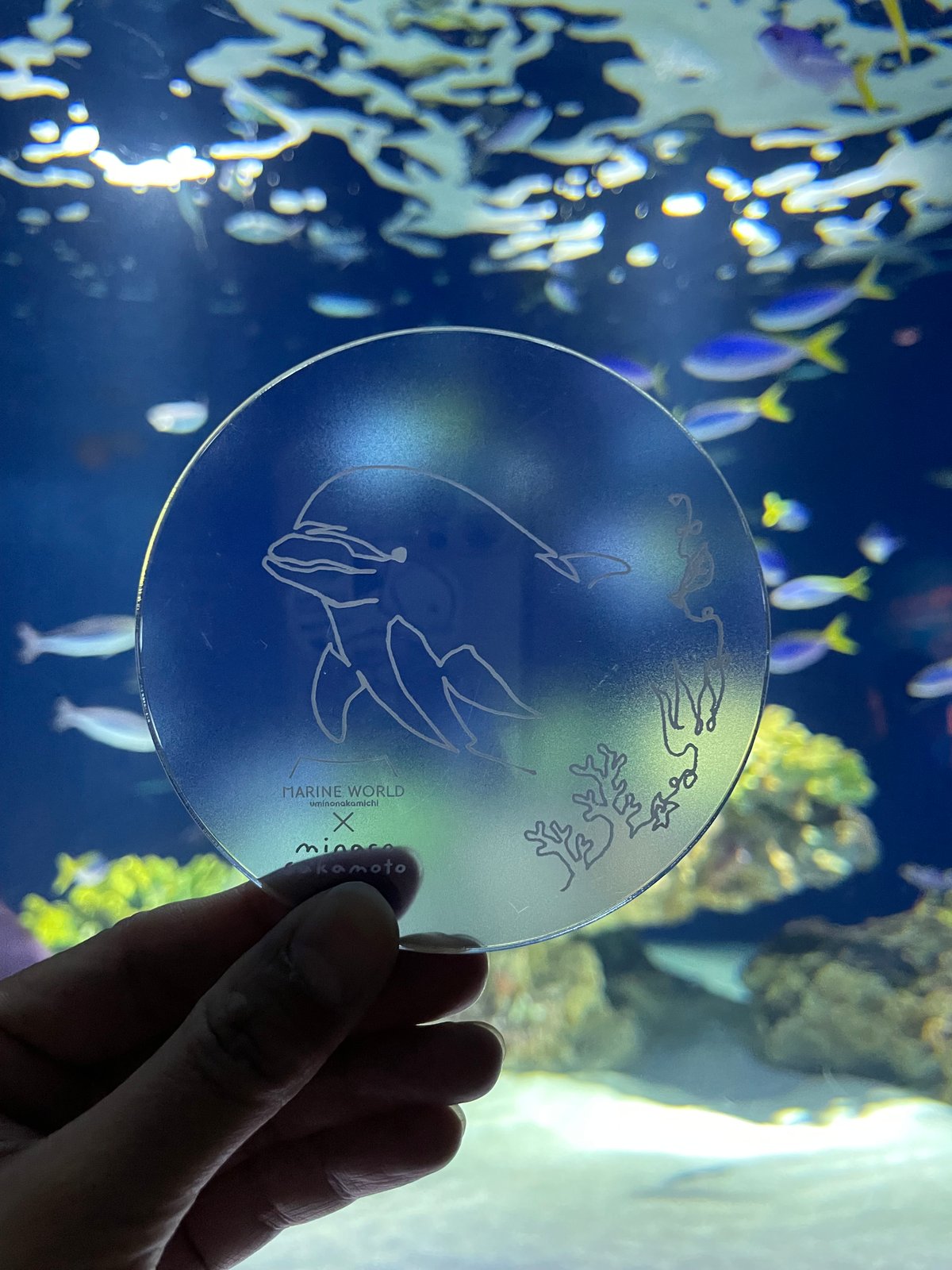 【イルカ】【道の向こう】…アクリル画 イルカ】【道の向こう】…アクリル画 アクリル画 イルカ 絵画