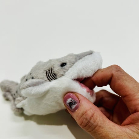 ぽちゃまるマグネット（シロワニ）