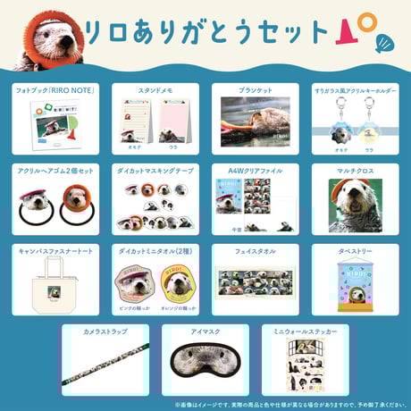 すべての商品 | すいそう すべての商品 | すいそう