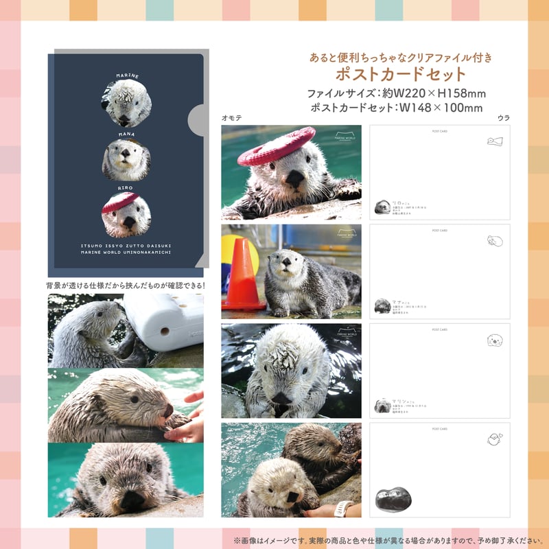 忘れない記憶」セット | すいそう