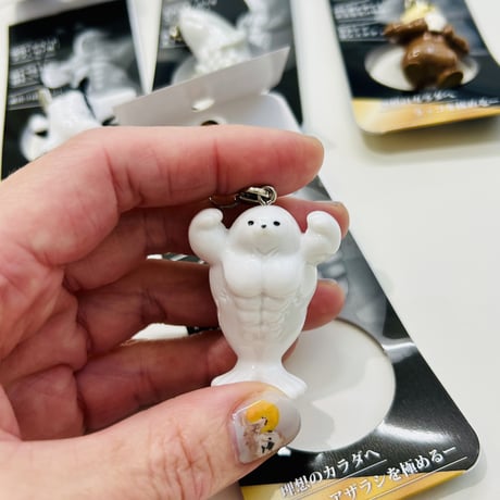 しあがってるゴマフアザラシ