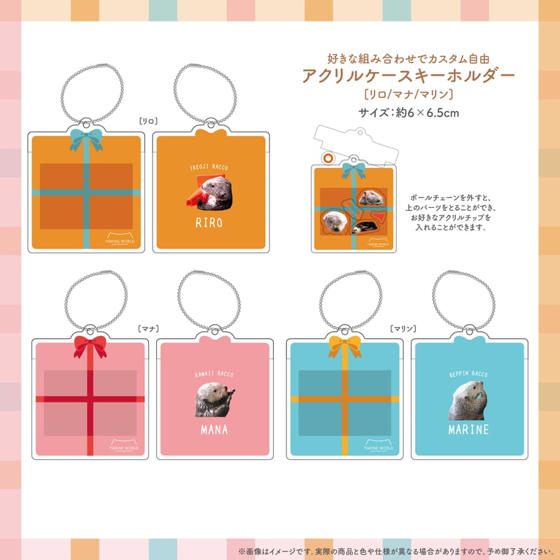 忘れない記憶」セット | すいそう